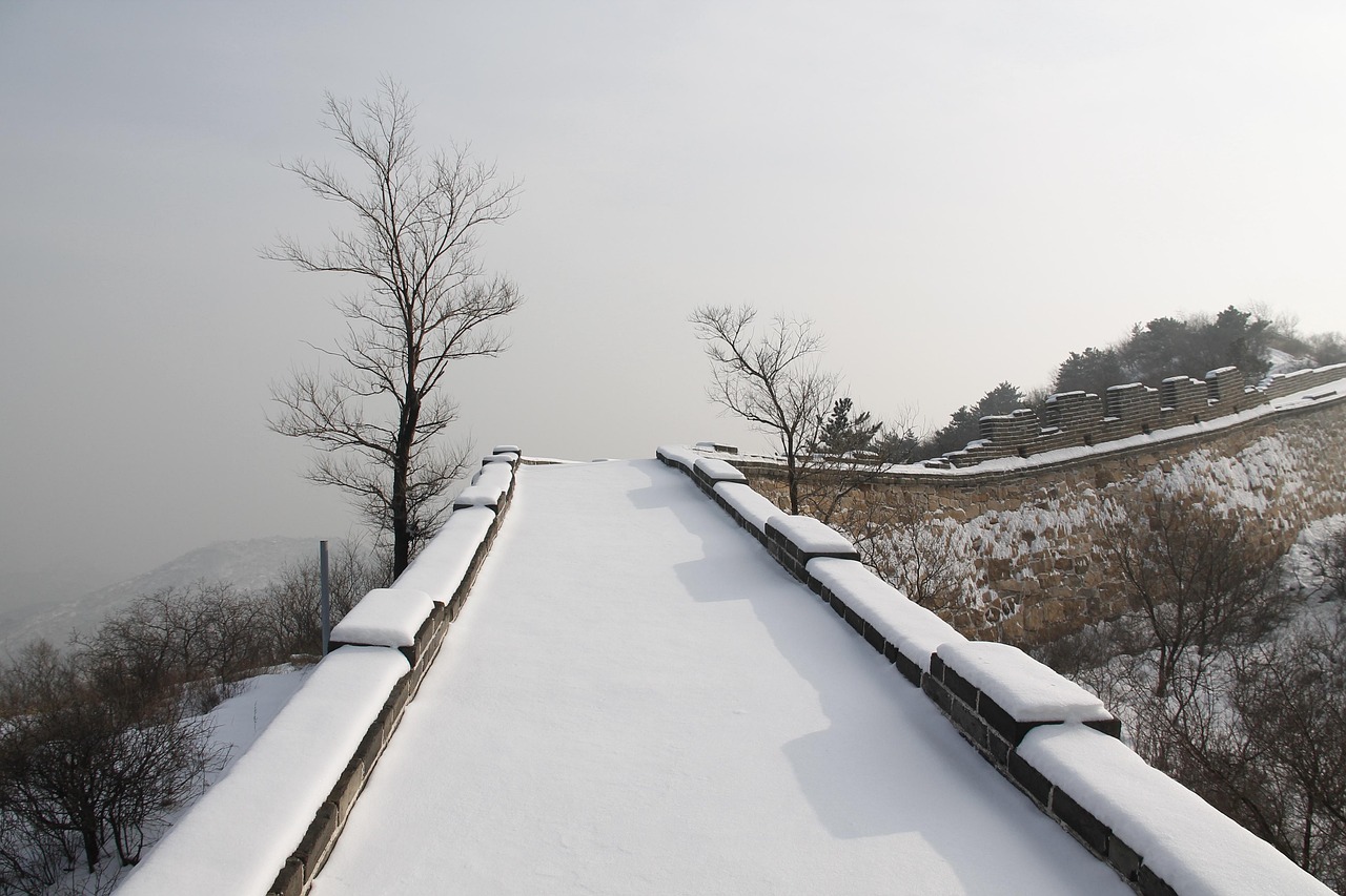 winter, snow, cold, tree, nature, badaling great wall in snow, outdoor, weather, ice, travel, the user-le